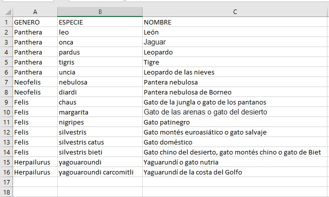 (Contenido de excel)