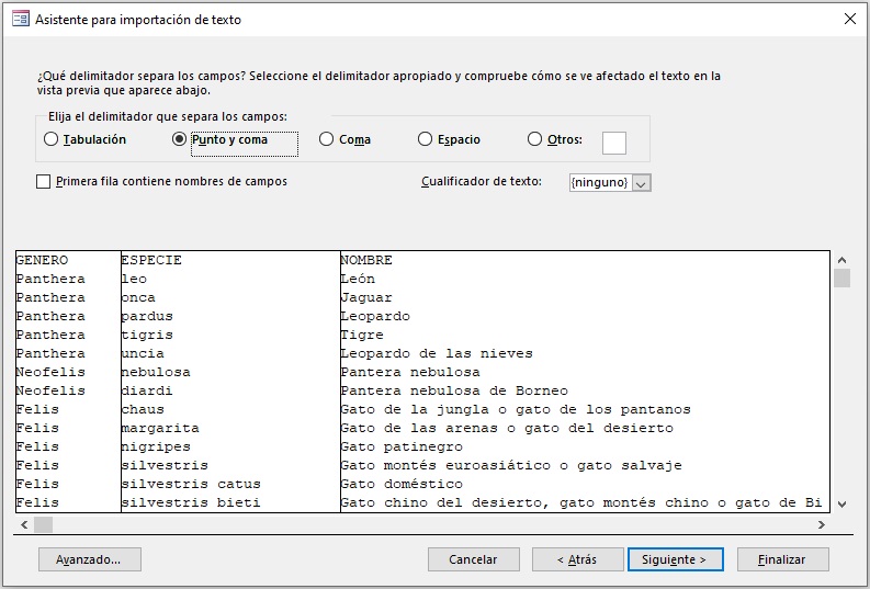 (Tipo delimitador)