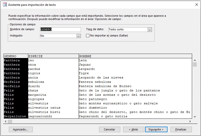 (Campo genero)