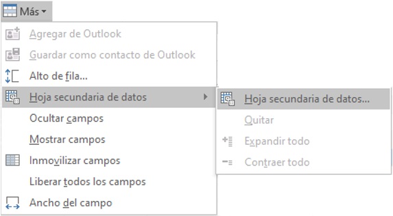 [Insertar-hoja-secundaria-de-datos]