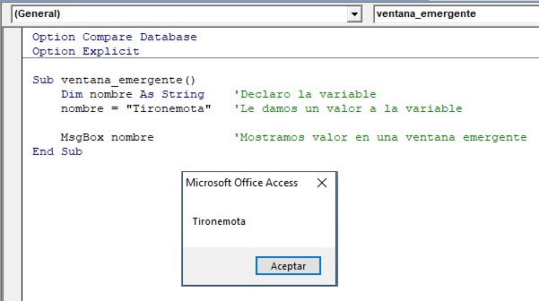 [Variable-en-MsgBox]