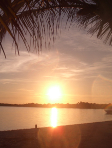 Morrocoy Morrocoy